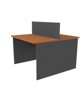 ESCRITORIO DUO   120