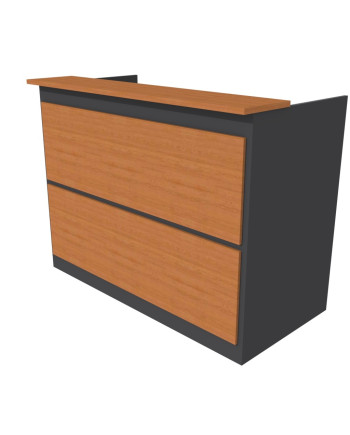 RECEPCION RECTA 100x70x115H
