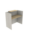 RECEPCION   100x60x115H