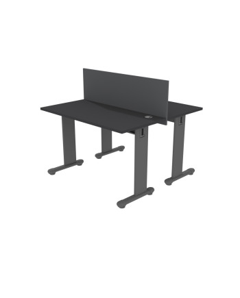 ESCRITORIO DUO   120